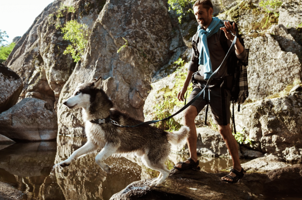 Dog-friendly hiking trails Canada